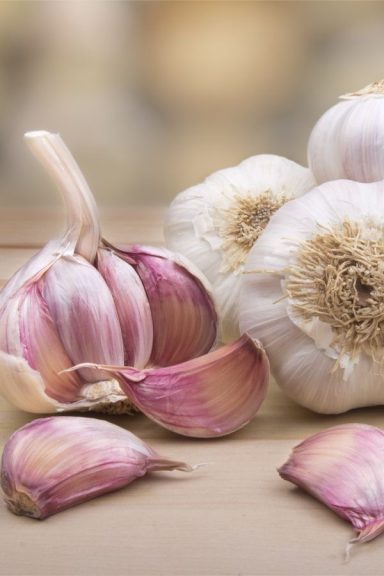 Verdures de Bulb